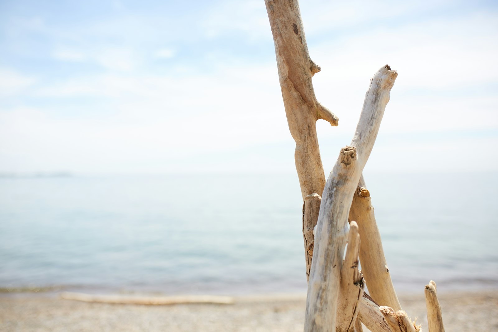 Sun-bleached driftwood stacked on a quiet beach with calm sea behind