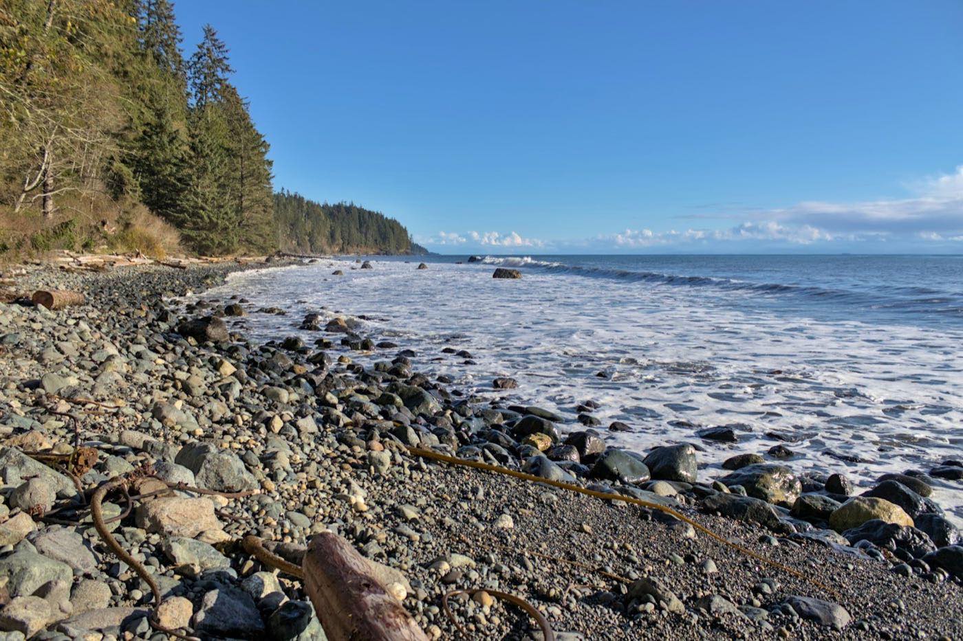 Pebbled Pacific-northwest beach lined with spruce trees, waves rolling in