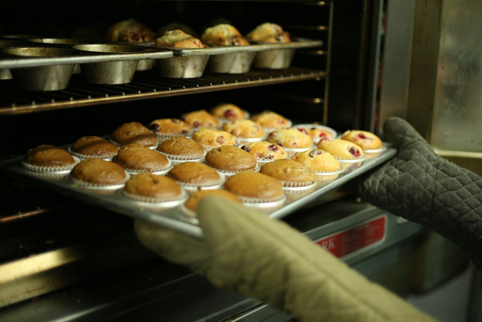 Tray of fresh muffins coming out of the oven with oven mitts